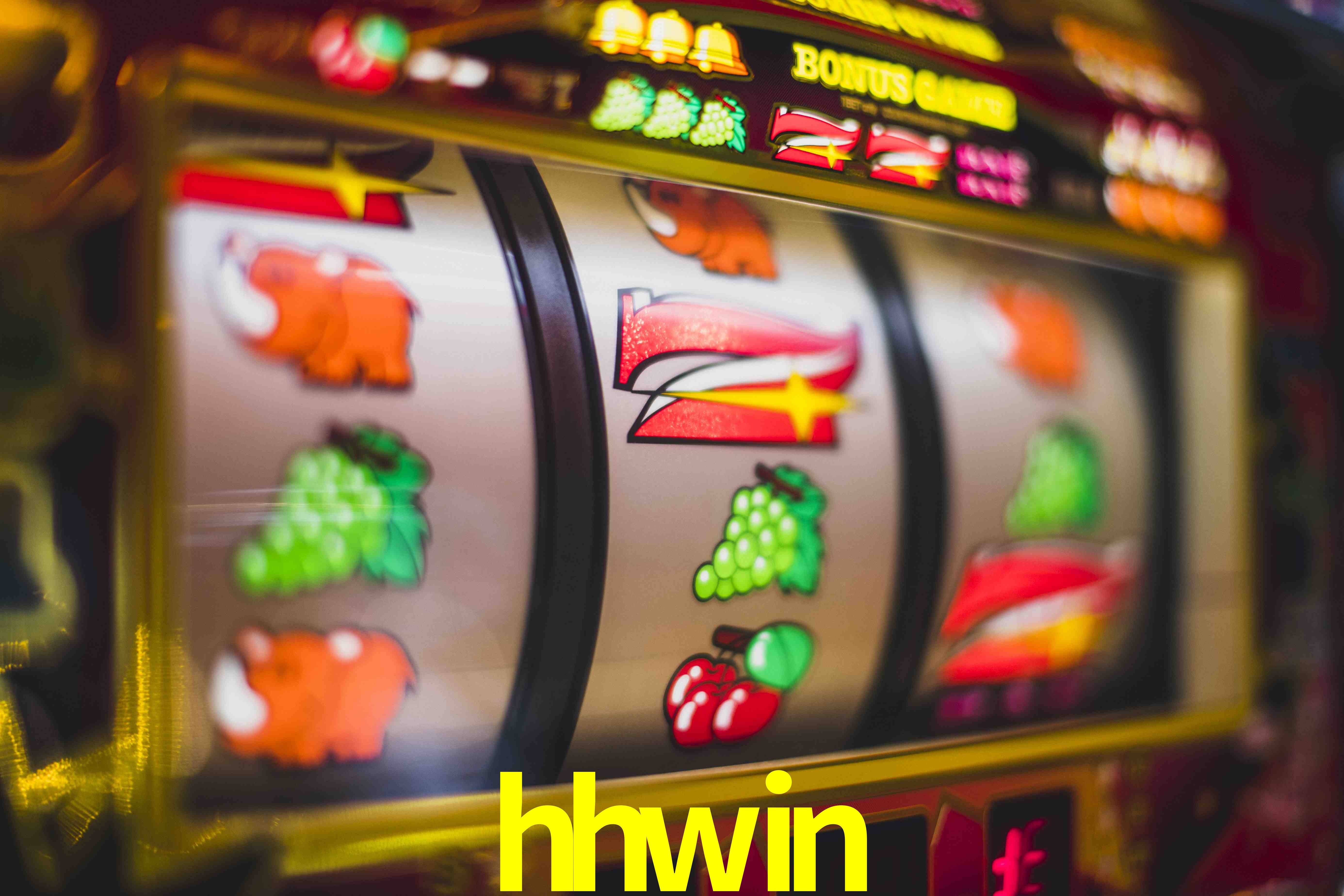Experiência VIP hhwin